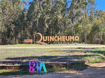 Parcela en venta en Hacienda Tanume, Pichilemu