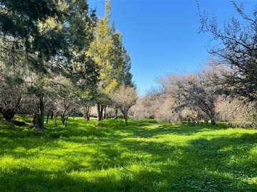 Terreno Agricola en venta en Camino La Virgen, Curacaví