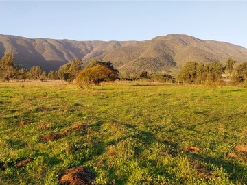 Venta / Sitio / Puchuncaví
