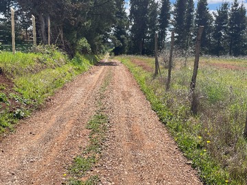 Terreno en venta en Vendo parcela en pemuco (174561), Pemuco