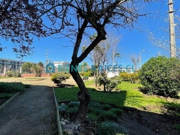 Departamento en arriendo mensual en Eduardo Frei, Viña del Mar - 2 dormitorios, 1 baño