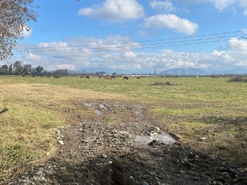 Parcela en venta en Camino santa margarita sn, Graneros