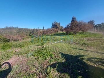 Terreno en venta en Nvo Precio Parcela 0,5há Aromos1 (177729), Limache - 2 baños