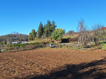Terreno en venta en Parcela rusticas, 5000m2 en Chacay,Sta. Juana (112739), Santa Juana