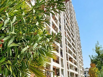 Departamento en arriendo mensual en Espacioso y Luminoso Hogar para Disfrutar (174323), Macul - 2 dormitorios, 2 baños
