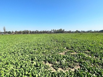 Terreno en venta en camino interior Lo arcaya, Colina