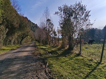 Terreno en venta en Loteo Chapuco. Río Coihueco