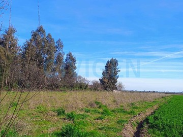 Terreno en venta en Parcela Amplia con Vistas Panorámicas (177725), Chimbarongo