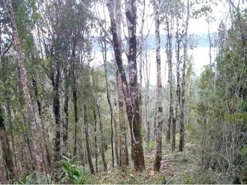 Parcela en venta en Playa de Guardiamo, Chiloé, Quemchi