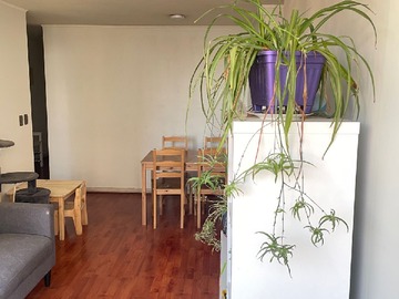 Departamento en arriendo mensual en Los Clarines 3139, Macul, Macul - 2 dormitorios, 1 baño