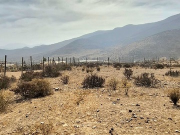 Venta / Terreno / La Serena