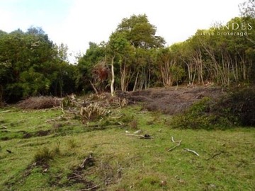 Sitio en venta en Campo "don angelo", lago blanco, segundo corral, llanada grande, Cochamó