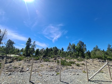 Sitio en venta en Terreno 1250 M Senda Sur / Puerto Montt - Cercado, En Verde