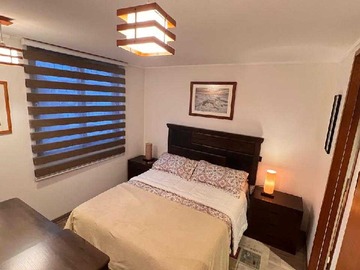 Departamento en arriendo mensual en Moderno Depto con Excelente Conectividad (161392), Providencia - 1 dormitorio, 1 baño