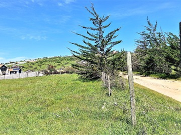 Terreno Agricola en venta en Lote C2, Tabolango, ruta 64 CH, Limache