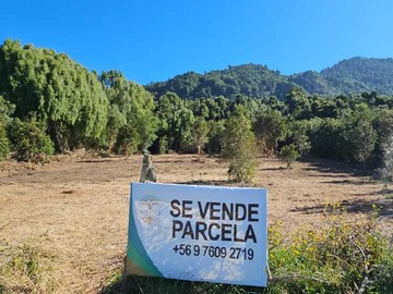 Venta / Terreno / Puerto Varas