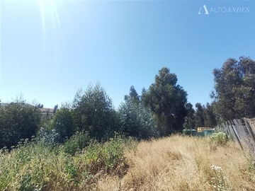 Sitio en venta en Ruta f240 fundo las gaviotas, Quintero