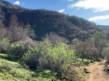 Parcela en venta en Condominio los bosques del paico alto, El Monte
