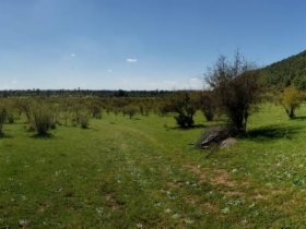 Parcela en venta en Sector Bazaes, Colbún