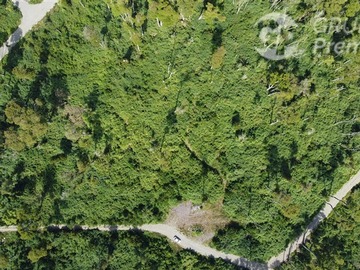 Parcela en venta en Proyecto de Parcelación Huillín y Campo Lindo., Puyehue