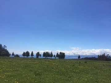 Terreno en venta en Nacimiento, Nacimiento