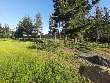 Terreno en venta en Gran terreno con alta plusvalía y potencial (164031), Viña del Mar