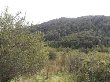Terreno en venta en el collil, Chonchi