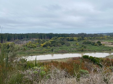 Terreno en venta en Chanco, Pahuil, parcelas con vista (170584), Chanco