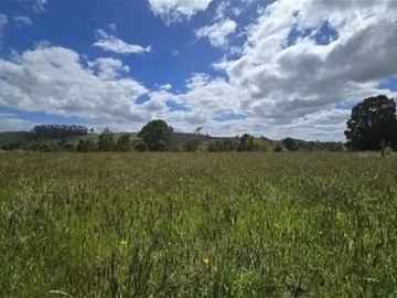 Sitio en venta en Pichilaguna, Llanquihue, Llanquihue