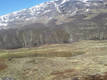 Sitio en venta en El maqui guadal, Chile Chico