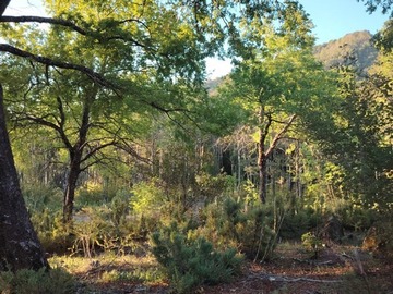 Terreno Agricola en venta en La Puntilla de San Juan / Coihueco, Coihueco