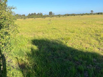 Terreno en venta en Se Vende Parcela de 5.000 mt2 cerca de Parral (126604), Parral