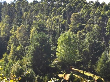 Terreno en venta en Afquintue, Loncoche