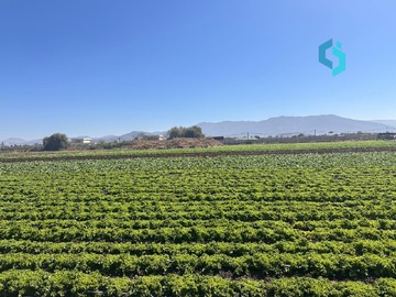 Terreno Agricola en venta en Lautaro s/n, Quillota