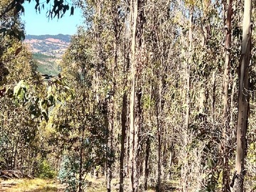 Terreno Industrial en venta en Espinillo, Pichilemu