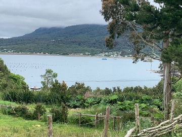 Sitio en venta en Caleta el manzano, hualaihué, Hualaihué