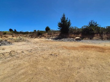Terreno en venta en Gran Oportunidad en Algarrobo (113213), Algarrobo