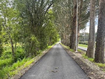 Terreno en venta en Frutillar, Frutillar