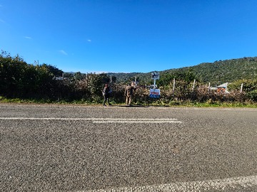 Sitio en venta en Curiñanco, Valdivia