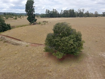 Terreno en venta en Oportunidad parcelas en 12 millones (145135), Frutillar