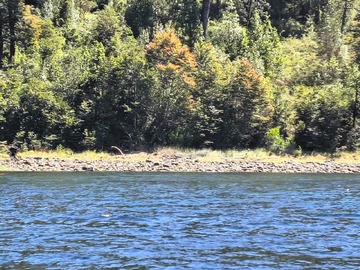 Terreno en venta en 515 hectáreas orilla mar chileno (158514), Aysén