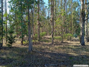 Terreno en venta en Santa María de Algarrobo, Algarrobo