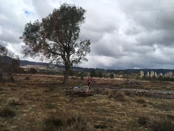 Venta / Parcela / Villarrica