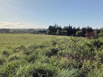 Venta / Terreno / Puerto Varas