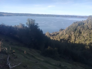 Terreno Agricola en venta en guardiamo s/n quemchi, Quemchi