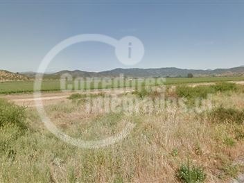 Terreno Agricola en venta en sector Longovilo FM, San Pedro