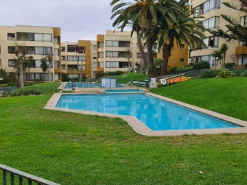 Departamento en arriendo mensual en Departamento amoblado-equipado Marzo a Dic. (175910), Viña del Mar - 2 dormitorios, 1 baño