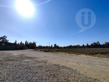 Venta / Terreno Agricola / Lampa