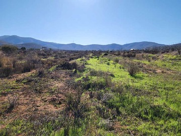 Terreno en venta en Oportunidad de Inversión en Terrenos Amplios (159518), Coquimbo