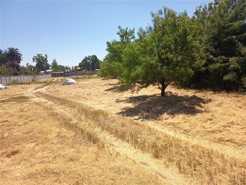 Venta / Terreno / Calera de Tango